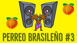 MIX PERREO BRASILEÑO 3  DJ DEIVID [upl. by Plumbo]