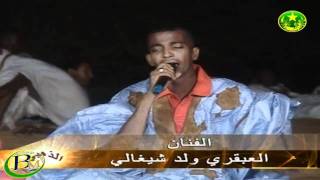 el abghari ould chighaly mauritania music [upl. by Natalina]