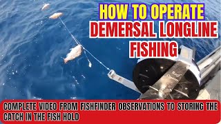 How To Operate Demersal Longline FishingComplete Steps From Fishfinder Sign To Storing The Fish [upl. by Akerdna]