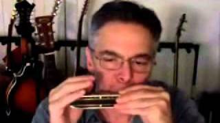 Four different Hohner Harmonicas Comparison [upl. by Sotsirhc]