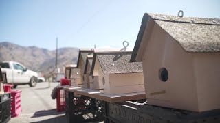 27th Annual Peddlers Fair taking place in Lake Isabella emphasizes local vendors [upl. by Htebazil]