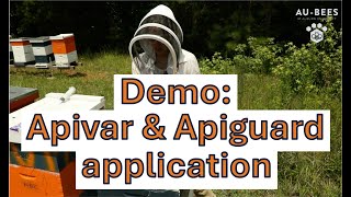 Demo Summer application of Apivar and Apiguard [upl. by Rodie]