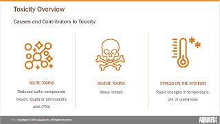 2020 Webinar Quat Toxicity and Wastewater Treatment [upl. by Ehr]