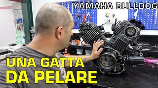 IN OFFICINA Una GATTA da PELARE Yamaha Bulldog [upl. by Asteria901]