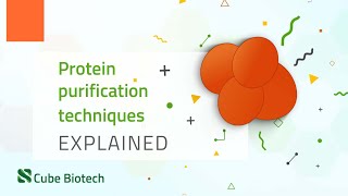 Protein Purification [upl. by Ymia]