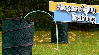 Hoopers Agility Training Hundetraining 2020🐶 [upl. by Adalai]