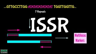 ISSR  Inter Simple Sequence Repeat  ISSR Markers  ISSR PCR [upl. by Birkner]