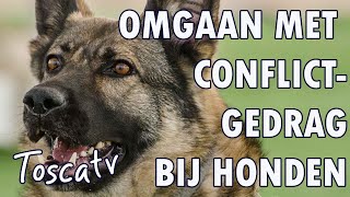 Lesfragment Conflictgedrag bij de hond [upl. by Golda]