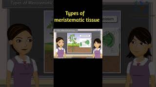 Learn About the 3 Types of Meristematic Tissue  shorts animation [upl. by Lenhart]