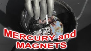 Is Mercury Hg attracted to MAGNETS [upl. by Shornick443]