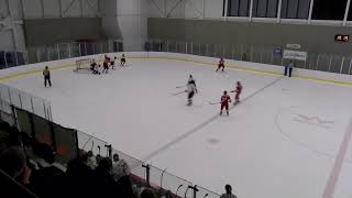 RSEQ D2 Hockey masculin  Lévis vs Rimouski [upl. by Skardol]