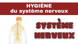 Hygiène du Système Nerveux  SVT  3AC BIOF [upl. by Akirderf16]