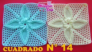 Cuadrado N° 14 Tejido a crochet Hojitas con borde en relieve para Mantitas de bebe y cojines [upl. by Amsirp]