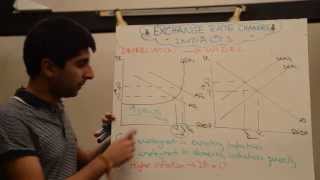 Impact of Exchange Rate Appreciations and Depreciations with Evaluation [upl. by Emily938]