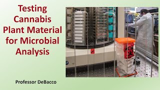 Testing Cannabis Plant Material for Microbial Analysis [upl. by Inalel]