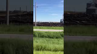 Cowshed near Brule NE I80 Nebraska [upl. by Ybor340]