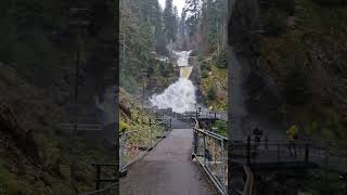 Triberg Waterfalls Black Forest Schwarzwald Germany 🇩🇪 Μαγεία shorts travel germany triberg [upl. by Marybella]