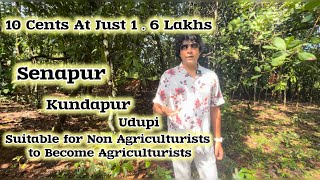 10 Cents at 16 Lakh Only  Senapur  Getting Agriculturalist Title Made Easy kundapura udupi [upl. by Adnovaj]