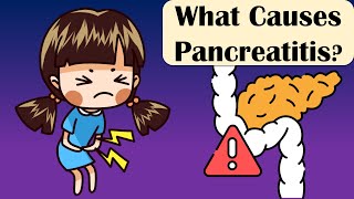 What Causes Pancreatitis Causes Of Acute Pancreatitis Pancreatitis Causes [upl. by Drabeck139]