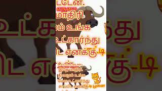 Part 3 சுட்டி பூனையும் அன்பான எருமையும் DeepuStoryTime bedtimestories storytimeforkids tamil [upl. by Ahsenid]