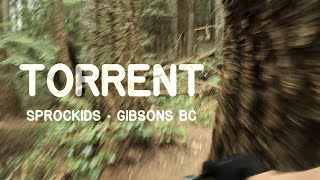 Torrent and New Torrent ❱ Sprockids ❱ Gibsons BC ❱ Downhill Mountain Bike POV [upl. by Norvin546]