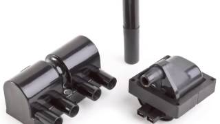 Delphi Ignition Coils High Standards Below The Surface [upl. by Gabrila]