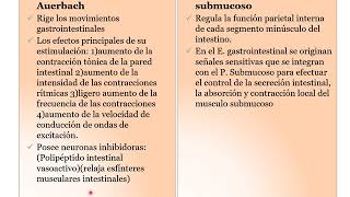 Principios generales de la función gastrointestinal Motilidad Control nervioso y del flujo sanguíneo [upl. by Lua]