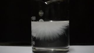 Crystallization in supersaturated solution of sodium acetate trihydrate [upl. by Ynatsyd]