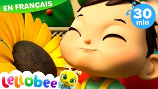 Mr Soleil Mme Pluie  Lellobee en Français  Dessins Animés Pour Enfant [upl. by Ettore570]