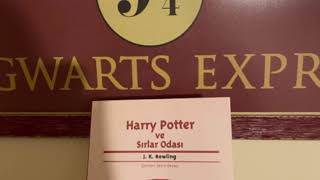 Harry Potter ve Sırlar Odası  Bölüm 6  En İyi Sesli Kitap [upl. by Madanhoj926]