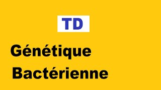 Génétique bactérienne TD [upl. by Pepito]