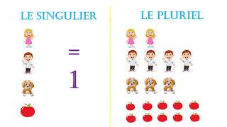 Le singulier et le pluriel des noms [upl. by Woodley]