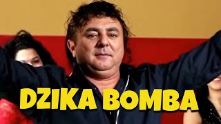 ROBERT MAKŁOWICZ  DZIKA BOMBA 💣 Sandu Ciorba  Dalibomba AI Cover [upl. by Saticilef]