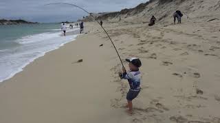 3 year old catching 6kg salmon from the beach [upl. by Braswell866]