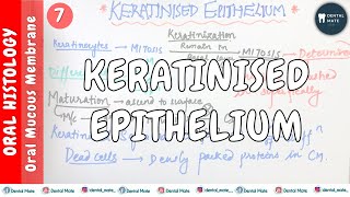 Keratinised Epithelium  Keratinization process  Maturation of keratinocytes  OMM  Dr Paridhi [upl. by Omrellig]