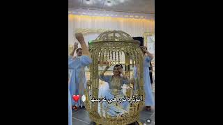 explore wedding mariage عروس بلكراكو العاصيمي 🇩🇿 الله يبارك👰🥰 [upl. by Fredrick]