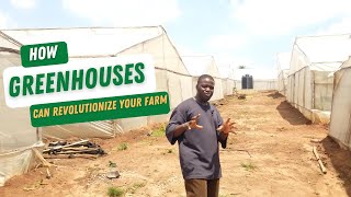 HOW GREENHOUSES CAN REVOLUTIONIZE YOUR FARM And Youre Missing Out [upl. by Ahsilrae]