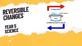 Properties and changes of materials Reversible Changes Y5 L4 [upl. by Rehpotsrhc]