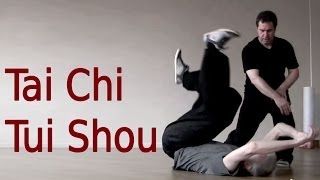 Tai Chi Tui Shou Training 太极推手教学 [upl. by Aydidey]