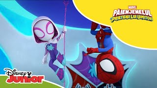 👀 Avem un intrus  Păienjenelul Marvel și prietenii lui uimitori  Disney Junior România [upl. by Iah]