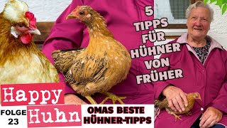 Hühnerhaltung Die besten Tipps aus Großmutters Zeiten Glucke  Küken  Futter HAPPY HUHN E23 [upl. by Cotter]