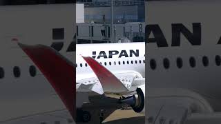 Japan Airlines Has a BOLD New A350 Strategy [upl. by Aiuqes]