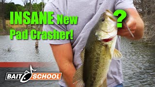 NEW Frog Bait for Bass BOOYAH Disco Ball Pad Crasher  Bait School [upl. by Yadnus]