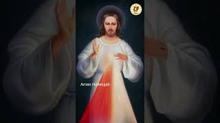 Divine Mercy Sunday  Feast of Divine Mercy [upl. by Miller]