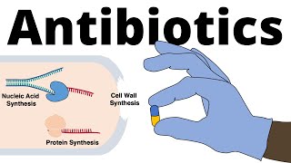 discovery of BLU945 an EGFR mutant inhibitor  drug annotations [upl. by Dickson]