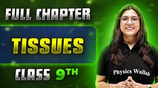 Tissues FULL CHAPTER  Class 9th Science  Chapter 6  Neev [upl. by Curzon]