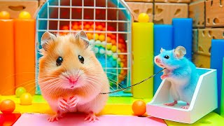 Hamster Escapes from the Largest Water Maze Epic Journey 🐹 Maze for Hamster [upl. by Gardy]