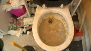 How to Unclog a Toilet the Wrong Way [upl. by Lippold]