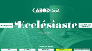 « Ecclésiaste »  LAncien Testament  La Sainte Bible audio VF Complète [upl. by Alaik934]