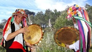 Día De Los Verdiales En Torremolinos Málaga 2014 [upl. by Hallutama106]